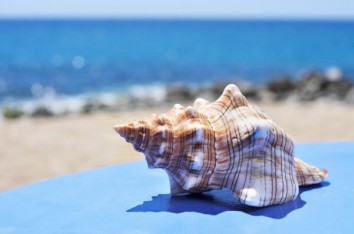 Морская вода на страже здоровья